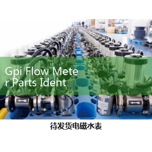 Gpi Flow Meter Parts Identification: Exploded Views of Rotors, Magnetic Pickups, and Enclosures