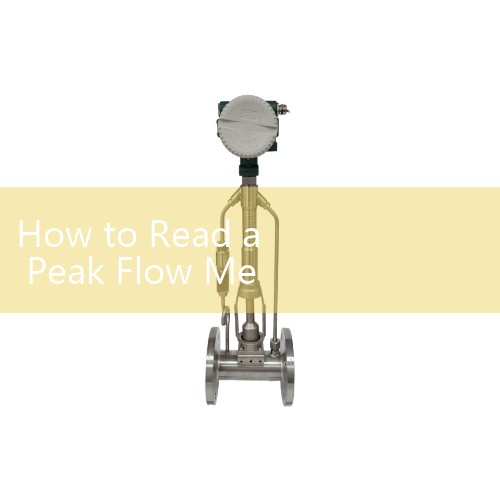 How to Read a Peak Flow Meter Asthma: Tracking Red, Yellow, and Green Action Bands